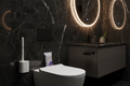 Disposable Toilet Brush - Dark Bathroom